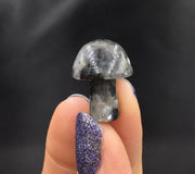 Larvikite Crystal Mushroom