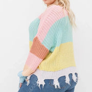 Plus Colorblock Destroyed V Neck Pullover Sweater