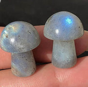 Labradorite Crystal Mushroom