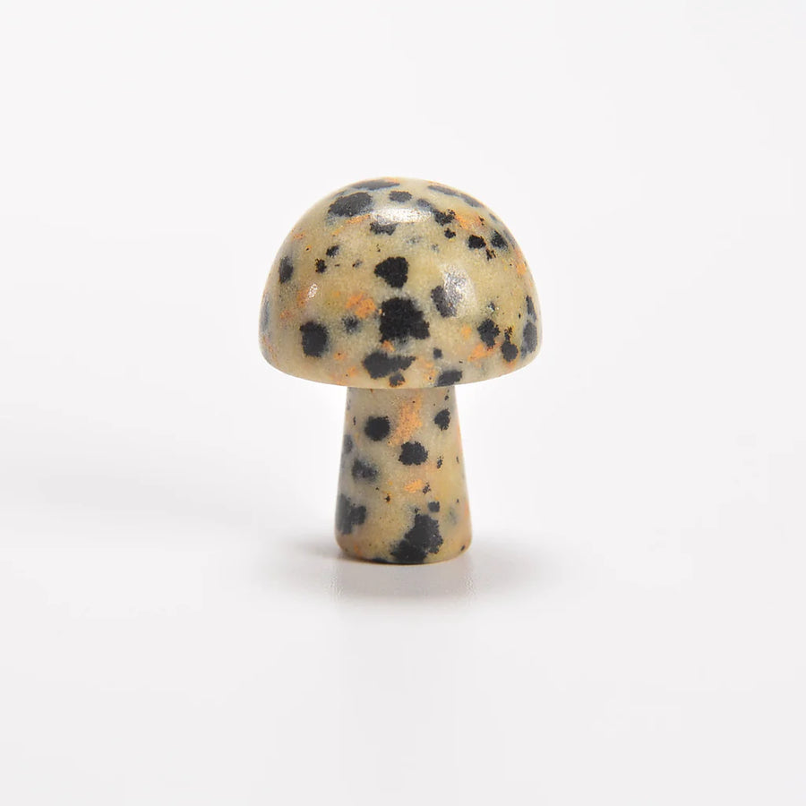 Dalmatian Jasper Crystal Mushroom
